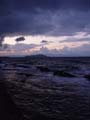 wild sea 2