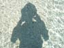 PICTURE_026