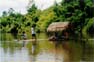 THAIFLOATPHOTOGRAPHER