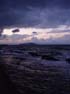 wild sea 2